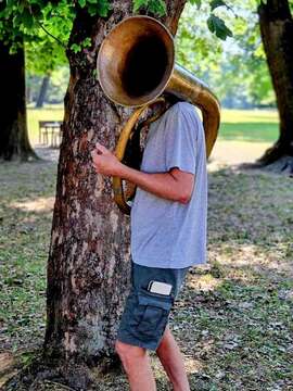 Zvoki jazza v nedeljo dopoldan v Grajskem parku (6)